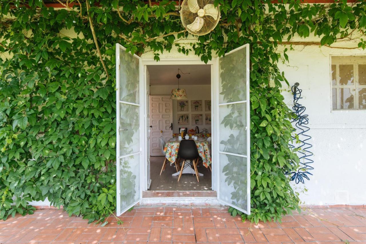 La Casita De Hato Pinos, Un Rincon En Donana 阿兹纳尔卡扎尔 外观 照片